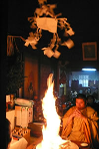 ���S�搶�̃v���t�B�[��������